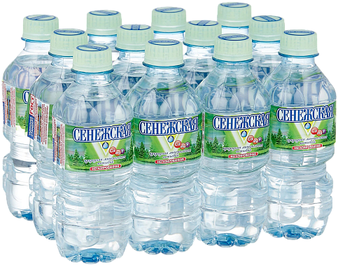 Вода негазированная СЕНЕЖСКАЯ 330мл 12шт/уп